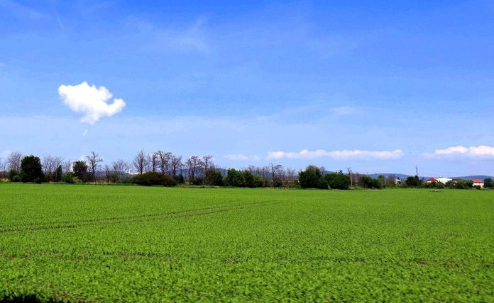 Two Nuclear Bets in One Week: Indiana's 7-Gigawatt Plan to Power the AI Boom Aerial view of the Mochovce nuclear power plant cooling towers in Slovakia