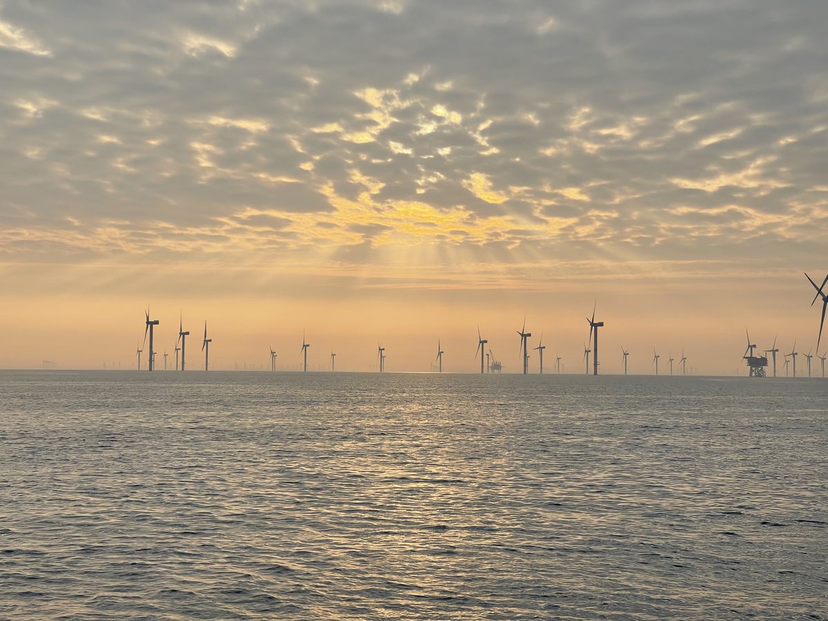 Offshore wind turbines silhouetted against a golden sunset sky over the sea