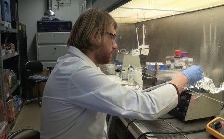 Scientist working in a laboratory for the tandem solar cell efficiency records article