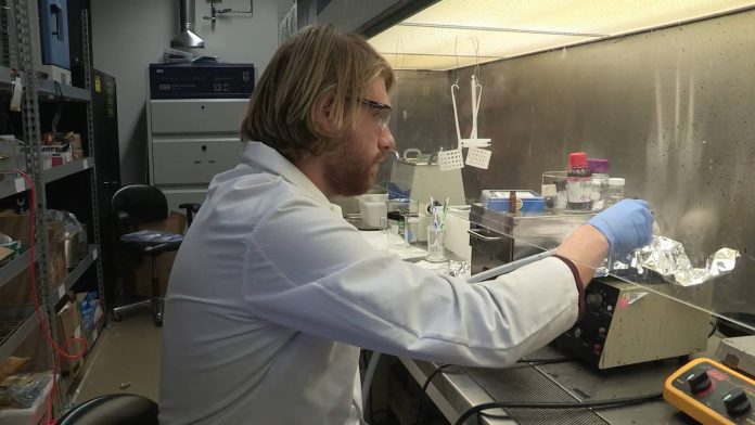 Scientist working in a laboratory for the tandem solar cell efficiency records article