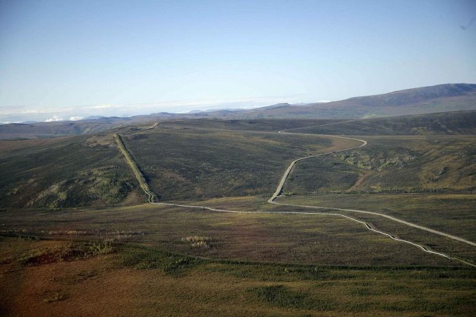 South Hydrogen Corridor Wins Five-Nation Backing for 3,000 km Algiers-to-Germany Pipeline